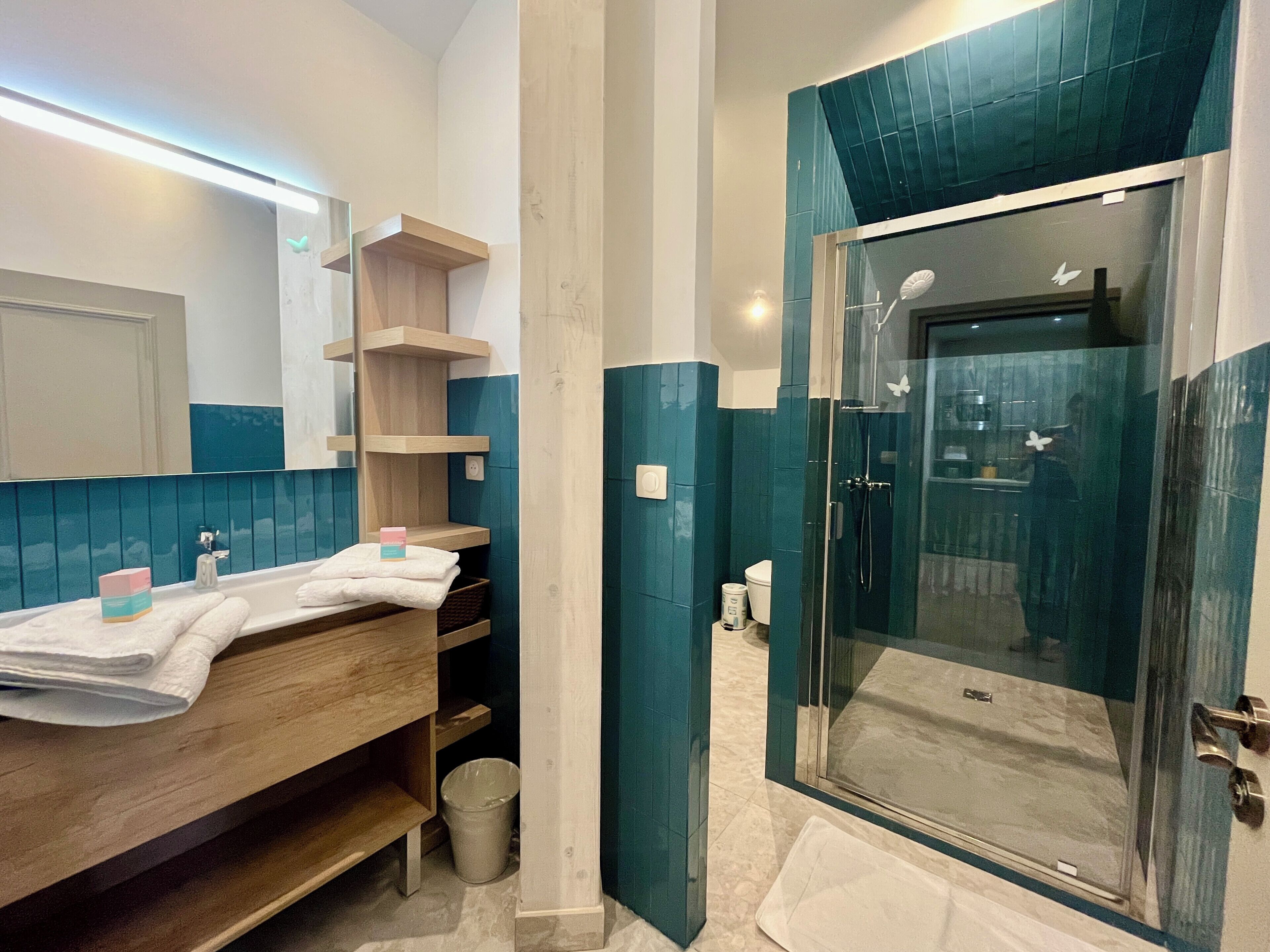 Shower, hair dryer, towels