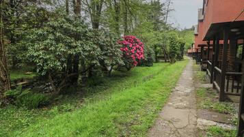 Cottage | Property grounds