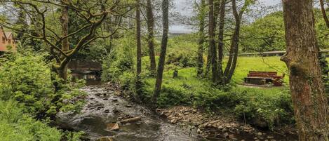 Une rivière qui traverse une zone boisée, avec un banc et une table de pique-nique.