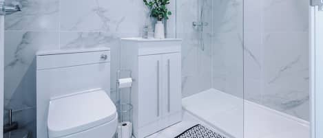 Shower, hair dryer, towels, soap