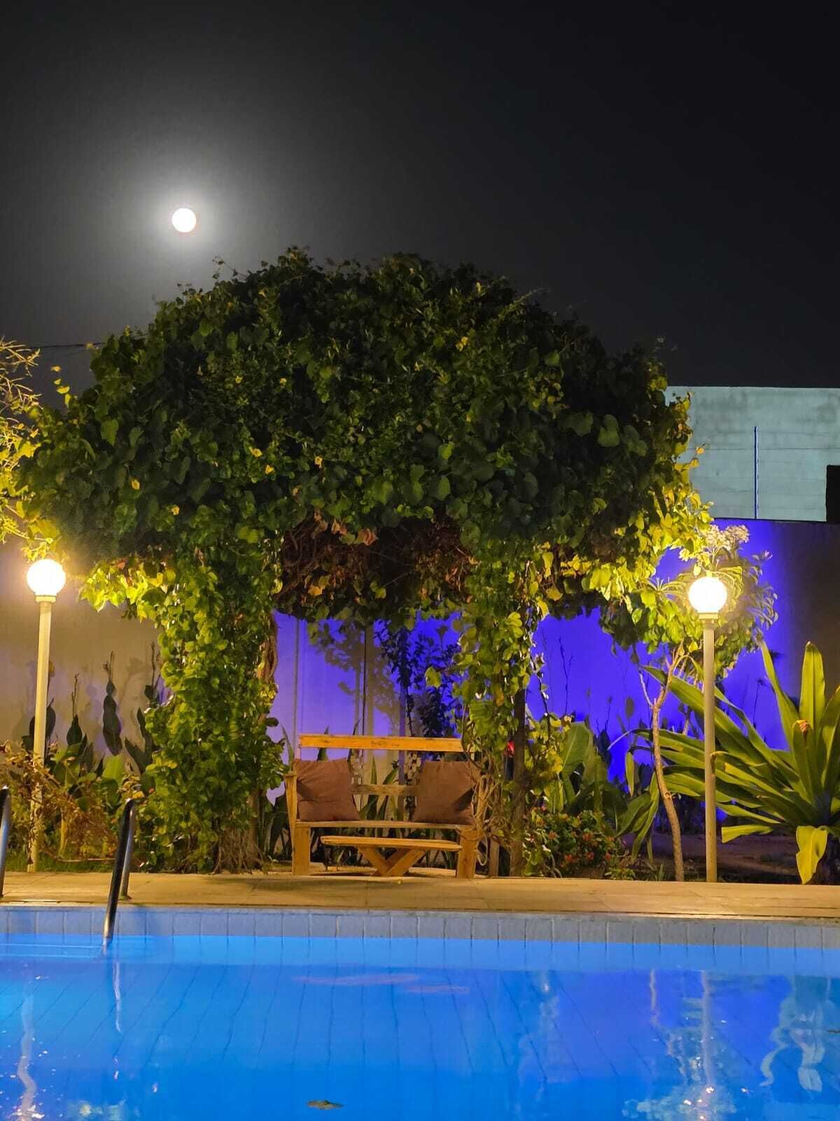 A nighttime pool area with a wooden bench, a pergola covered in greenery, and two illuminated street lamps.