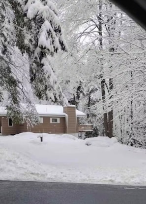 A snow-covered residential area with a house and trees.