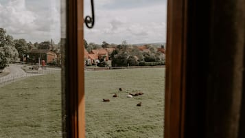 Vista des de l'allotjament