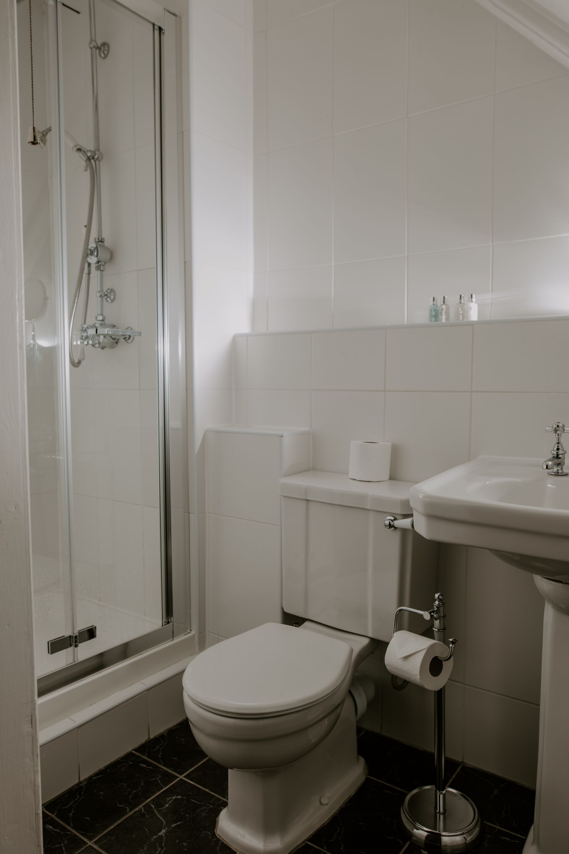 Une salle de bain avec des toilettes, un lavabo et une douche.
