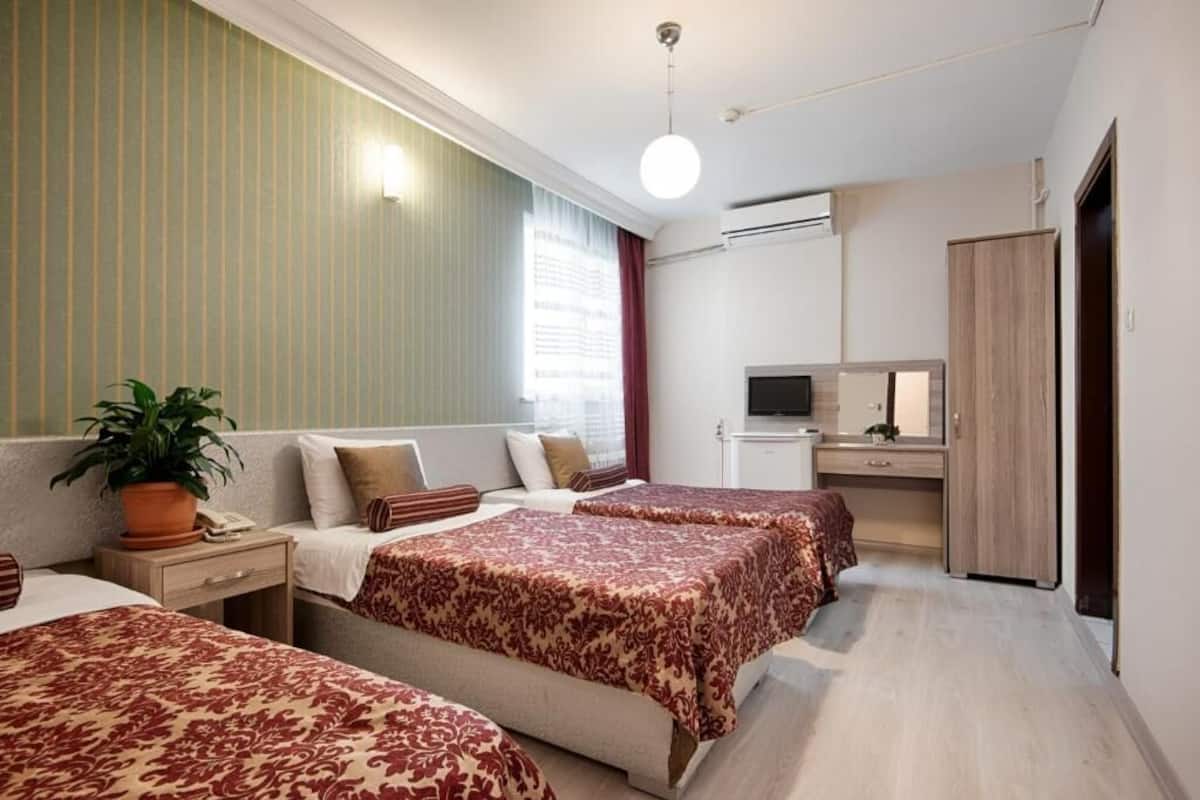 Habitación de hotel con dos camas, un escritorio, un televisor y una planta en maceta.
