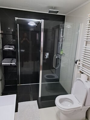 Shower, jetted bath, hair dryer, bidet