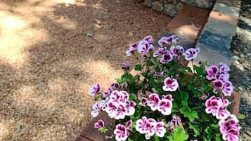 Superior tweepersoonskamer, uitzicht op tuin | Details aan de buitenkant