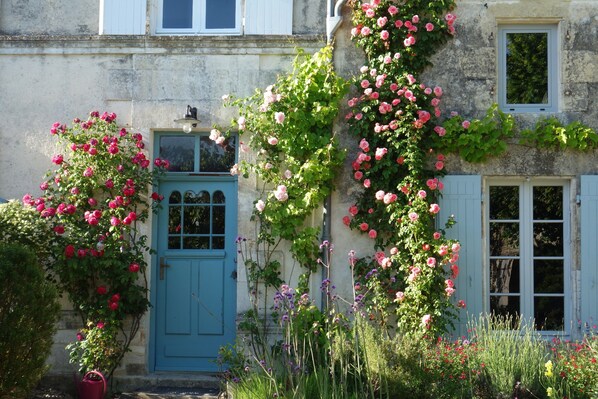 Detalle exterior