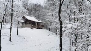 A cabin with a porch, surrounded by snow-covered trees. - Hocking Hills Half Stoned Cabin in the Woods (Nelsonville)