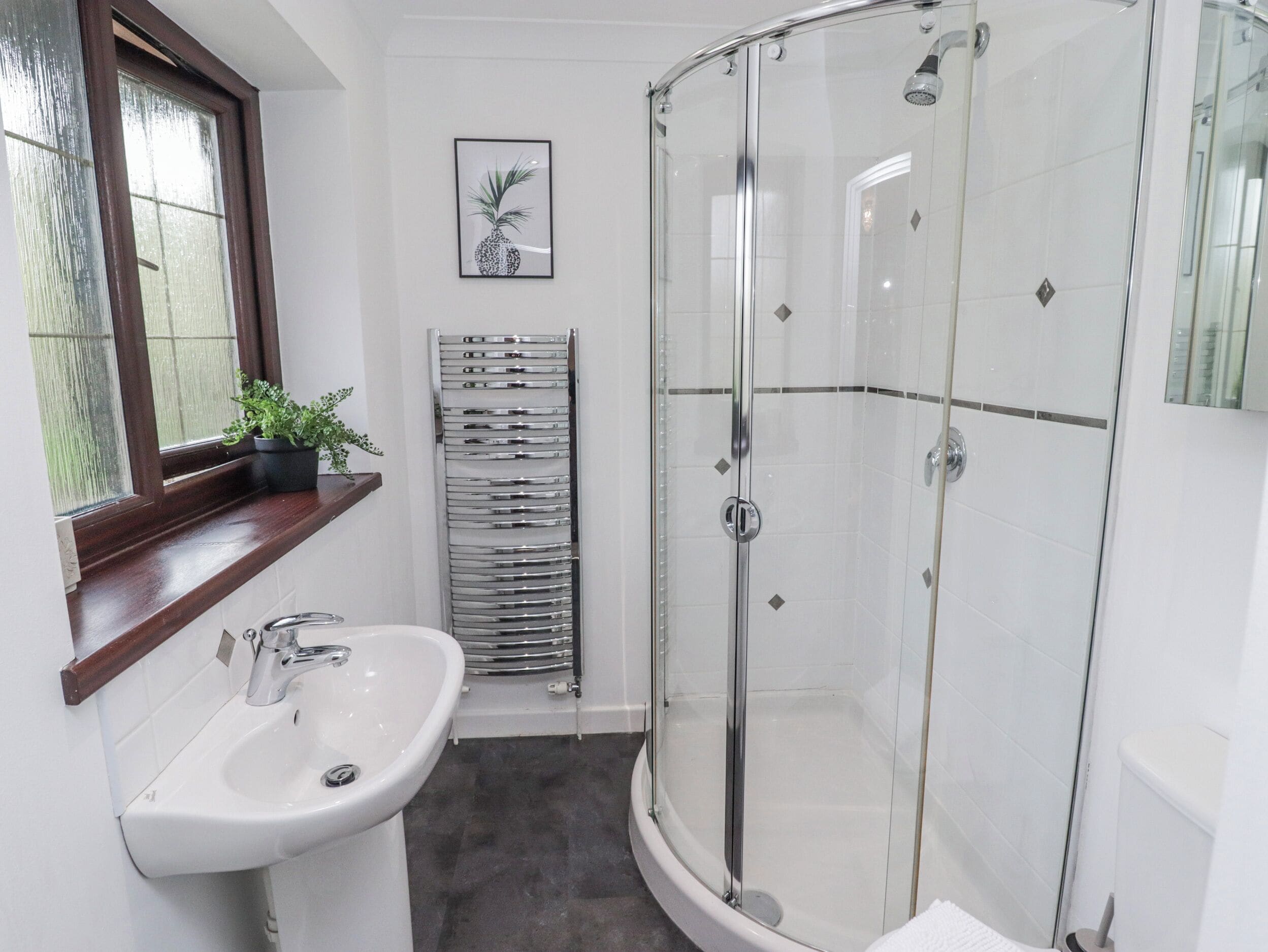 Un baño con cabina de ducha de vidrio, un lavamanos blanco y una planta en maceta en el alféizar.