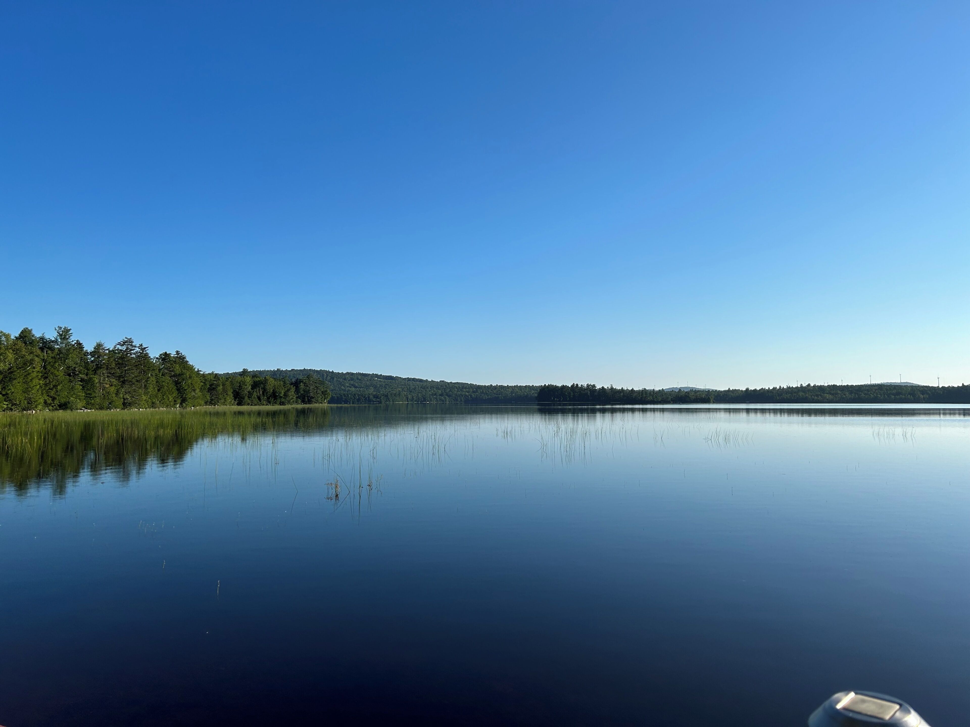 A calm lake with a clear sky and a forested shoreline.