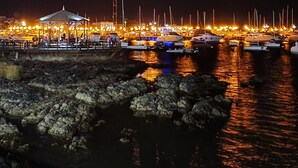 Un port de plaisance de nuit, avec des bateaux amarrés, une zone abritée où se trouvent des personnes, et des rivages rocheux.