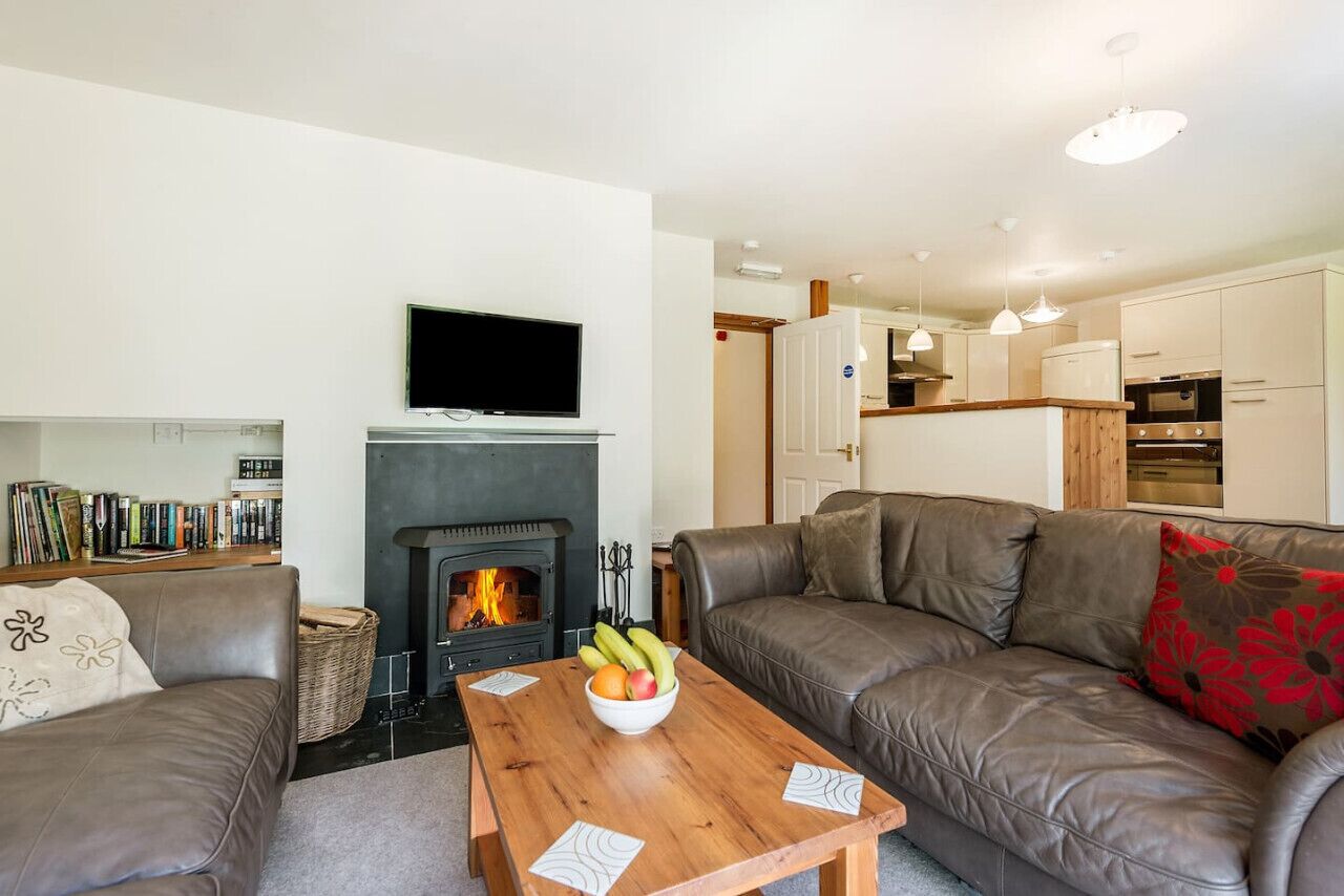 TV, fireplace