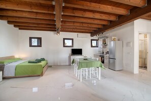 Une chambre à coucher comprenant un lit, un téléviseur, une table à manger avec des chaises, un coin cuisine avec un réfrigérateur, et une salle de bain visible à travers une porte ouverte.