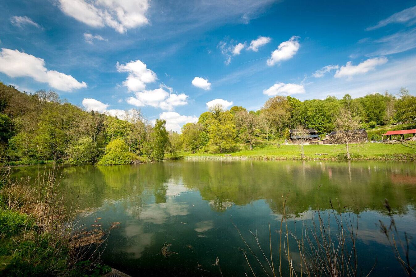 A serene lake with reflections of trees and a clear sky.