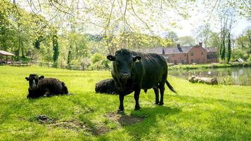 Àrea exterior de l'allotjament