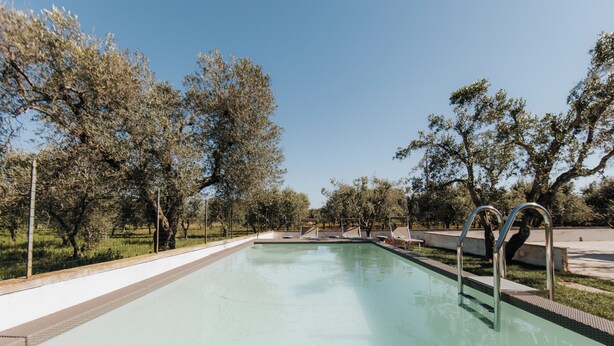 Une piscine avec des échelles en métal, entourée d’arbres et sous un ciel dégagé.