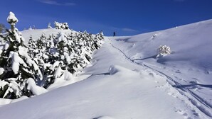A snow-covered path with trees on the left and a clear sky. - Guest Room “La Grande Calade” with Mountain View, Terrace and Wi-Fi (Garde-Colombe)