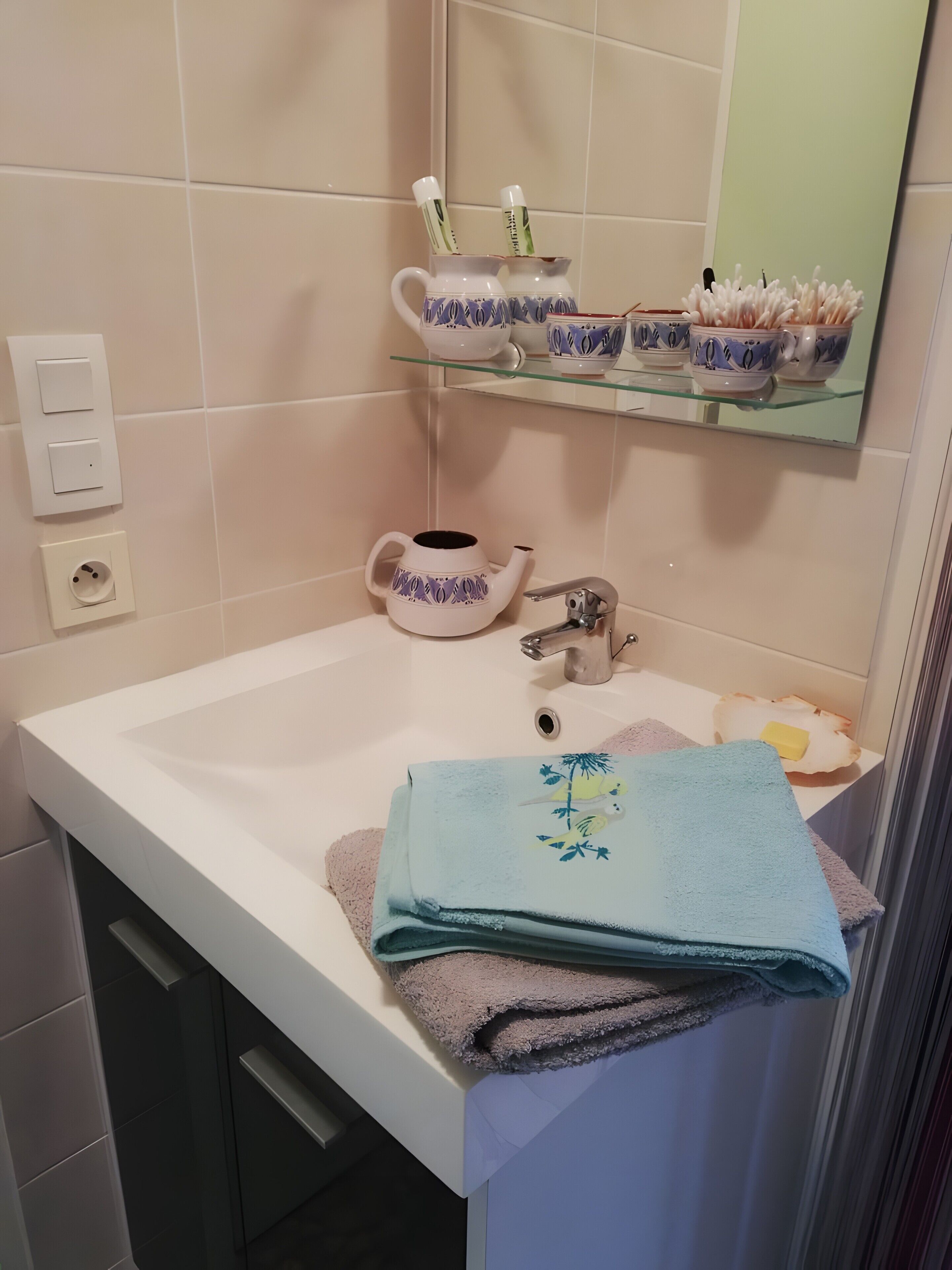 Shower, hair dryer, towels