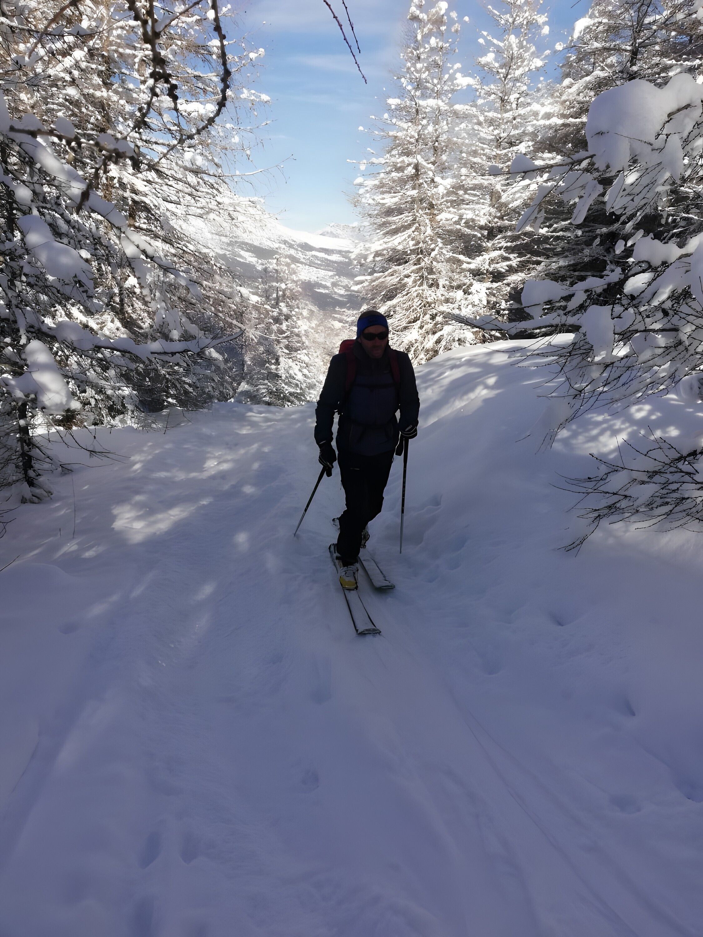 Sneeuw- en skisporten