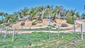 Quartiere residenziale con case, una strada sterrata e un giardino recintato.