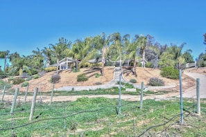 Property grounds - Delgado way- Charming home on 3 acres w/ Vineyards (Temecula)