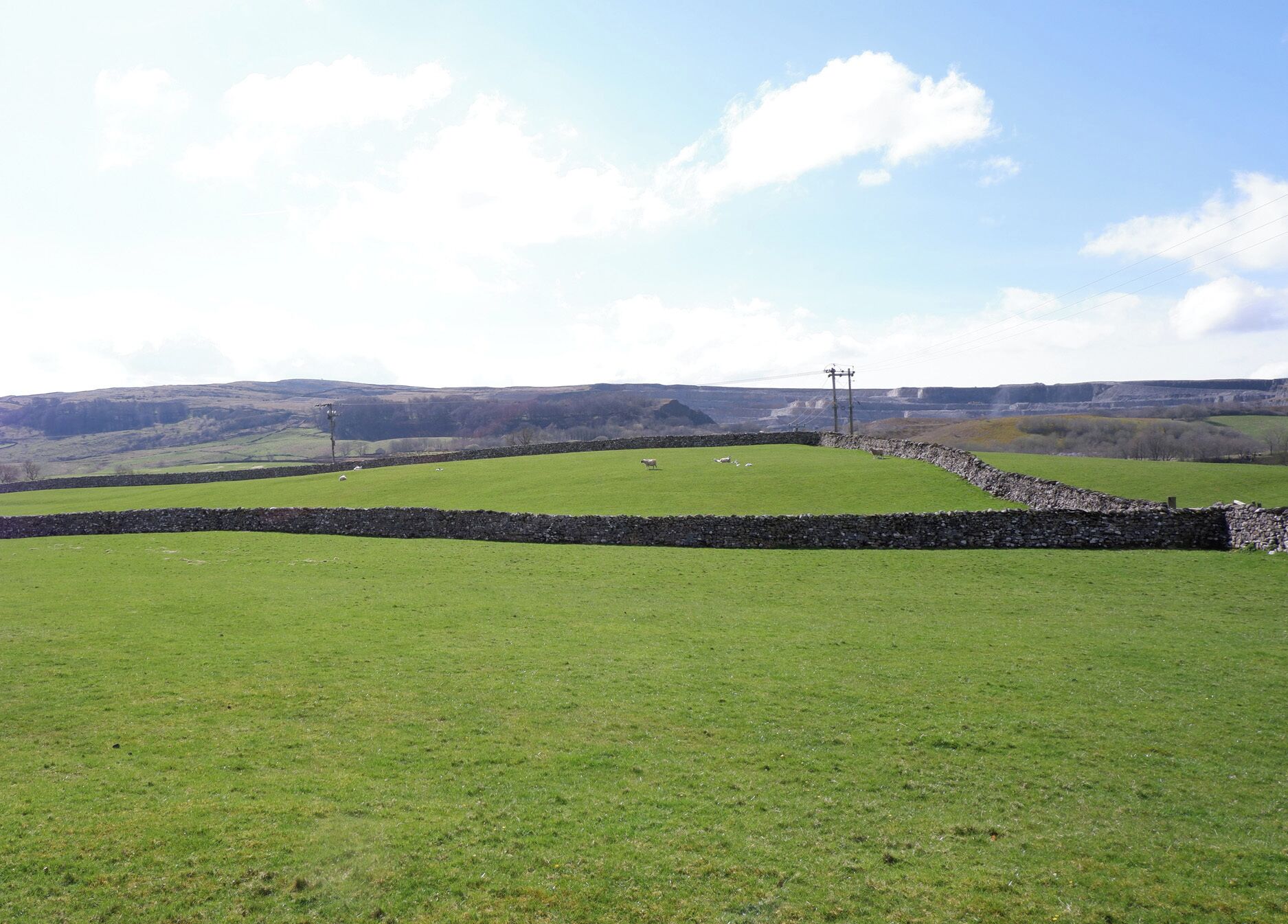 Ländliche Landschaft mit Steinmauer, grünem Feld und Schafen.