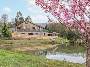 A wooden cabin with a stone foundation, a pond in front, and a cherry blossom tree. - Lower Moorwood (Newton Abbot)