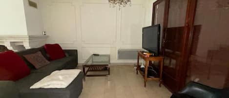 TV connectée, cheminée, lecteur de DVD, livres