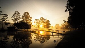 A bridge over a calm body of water with trees on either side and a sunrise in the background.