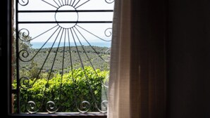 Ein Fenster mit Sonnensymbol, Blick auf einen Weinberg und einen fernen Horizont.