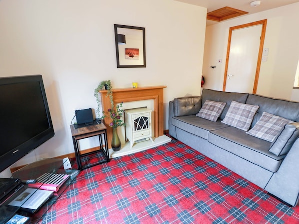 A living room with a television, a fireplace, a sofa, and a plaid carpet.
