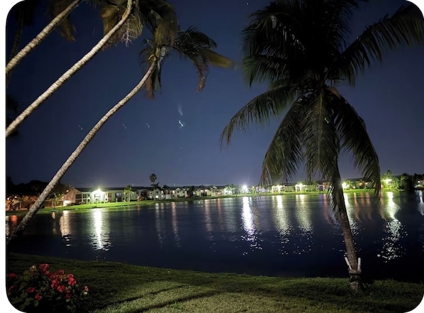 A nighttime view of a lake with palm trees and illuminated buildings in the background.