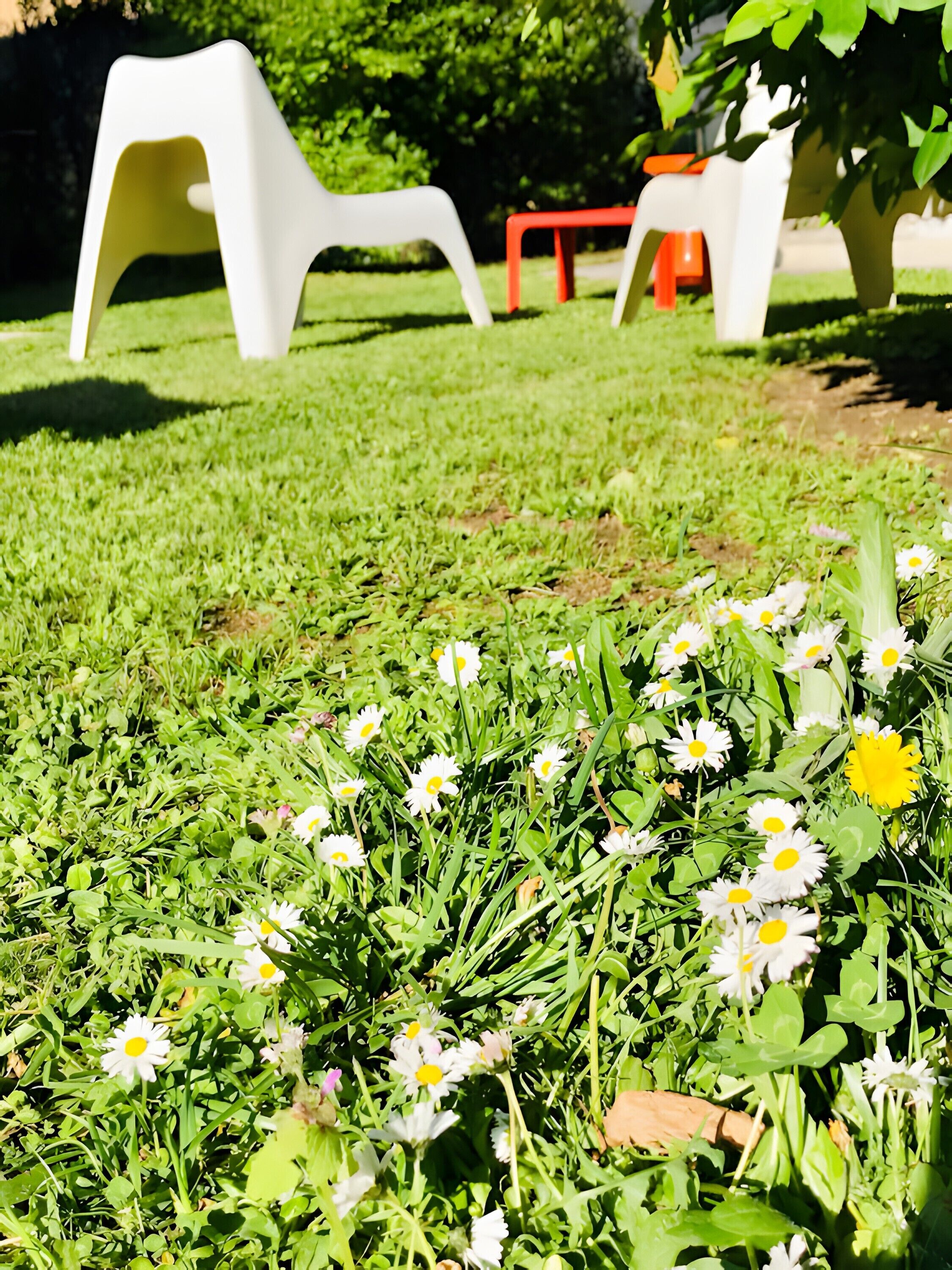 Overnattingsstedets uteområder