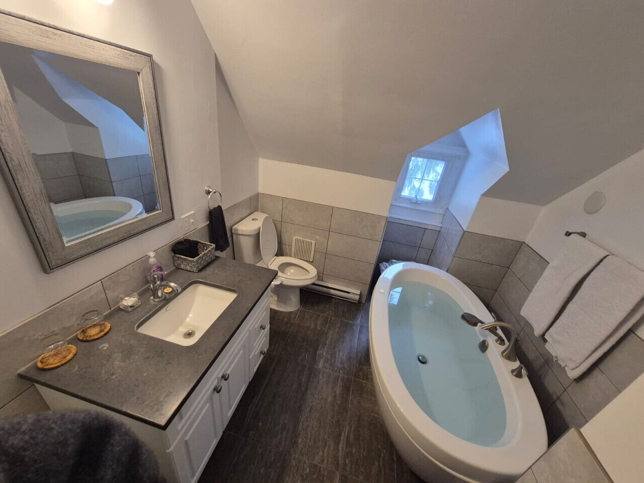 Hair dryer, towels