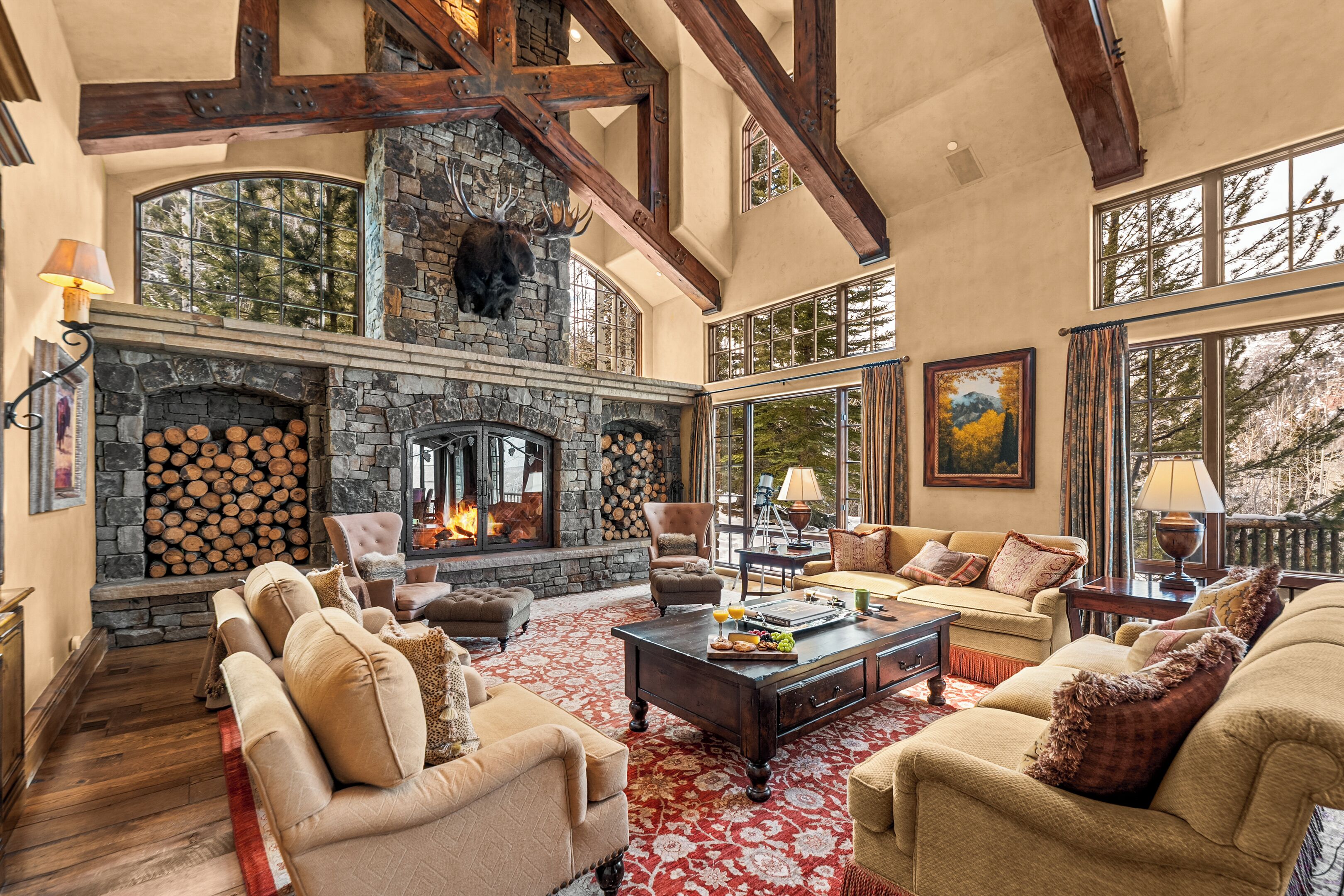 Smart TV, fireplace, books, stereo