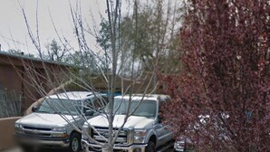 Ein Parkplatz mit zwei dort abgestellten Lastwagen neben einem Baum mit violetten Blättern.