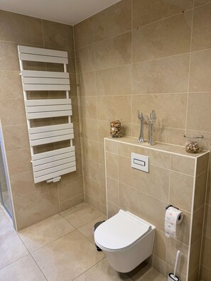 Douche, sèche-cheveux, serviettes fournies, savon