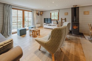 TV, fireplace, books