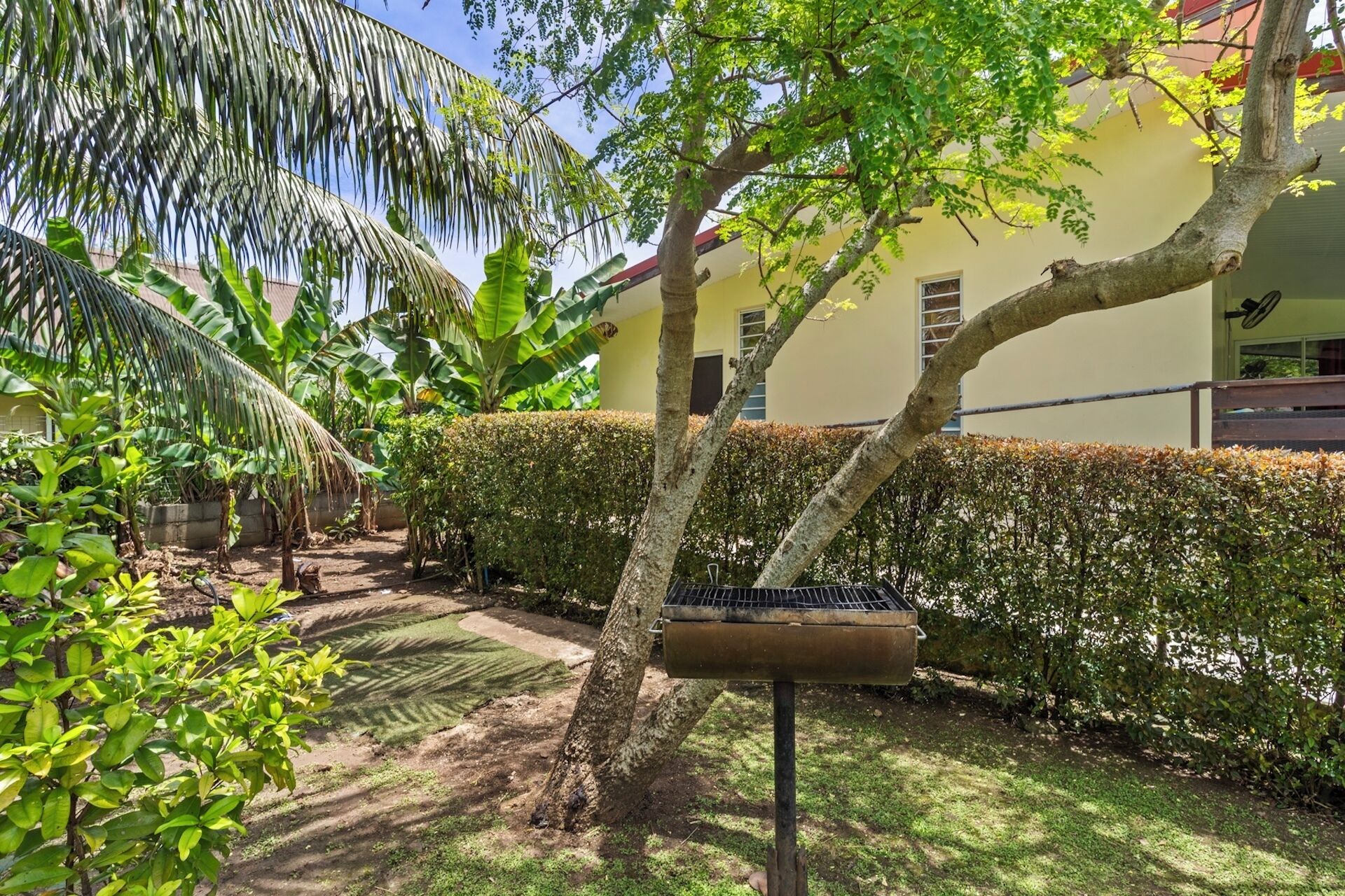 Un jardin avec un arbre, un barbecue et un bâtiment en arrière-plan.