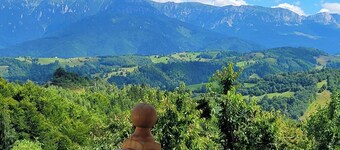 Stylish 3 bedroom premium mountain lodge in Transylvania! Phenomenal views!
