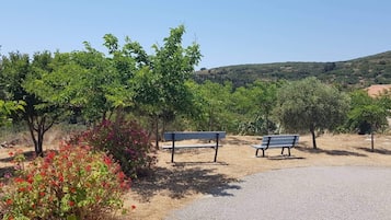 Terrein van de accommodatie