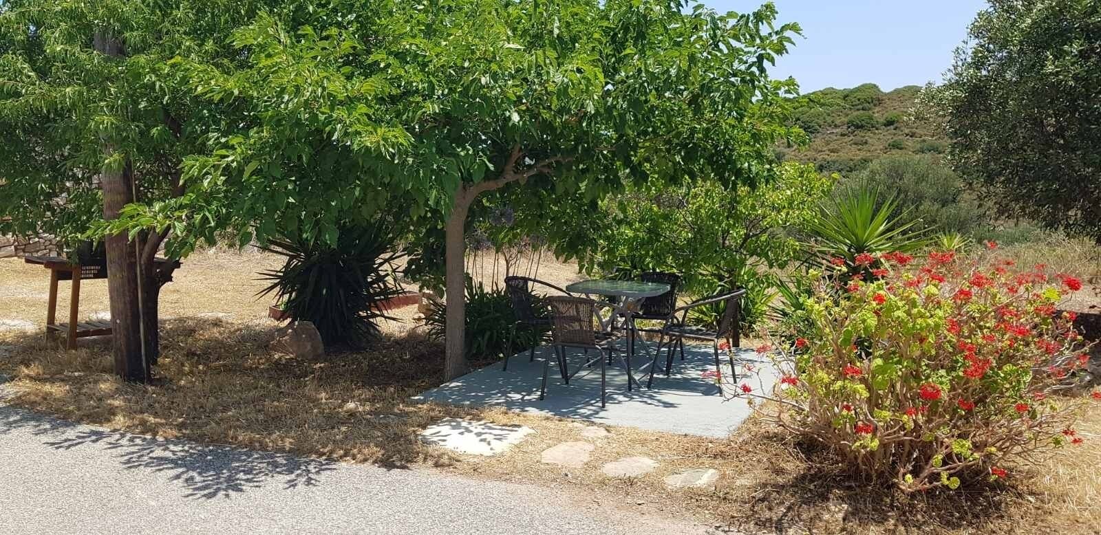 Eine Terrasse mit Tisch und Stühlen, umgeben von Bäumen und einem kleinen Garten.