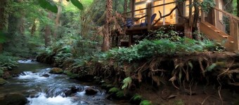 Sasquatch's Tiny Treehouse on creek - old growth forest in Portland - ADVENTURE!