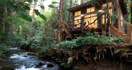 Sasquatch's Tiny Treehouse on creek - old growth forest in Portland - ADVENTURE!