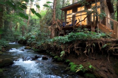 Sasquatch's Tiny Treehouse on creek - old growth forest in Portland - ADVENTURE!
