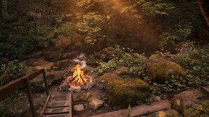 A wooden bench, a fire pit, and a forested area with rocks and moss.