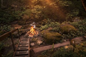 A wooden bench, a fire pit, and a forested area with rocks and moss.