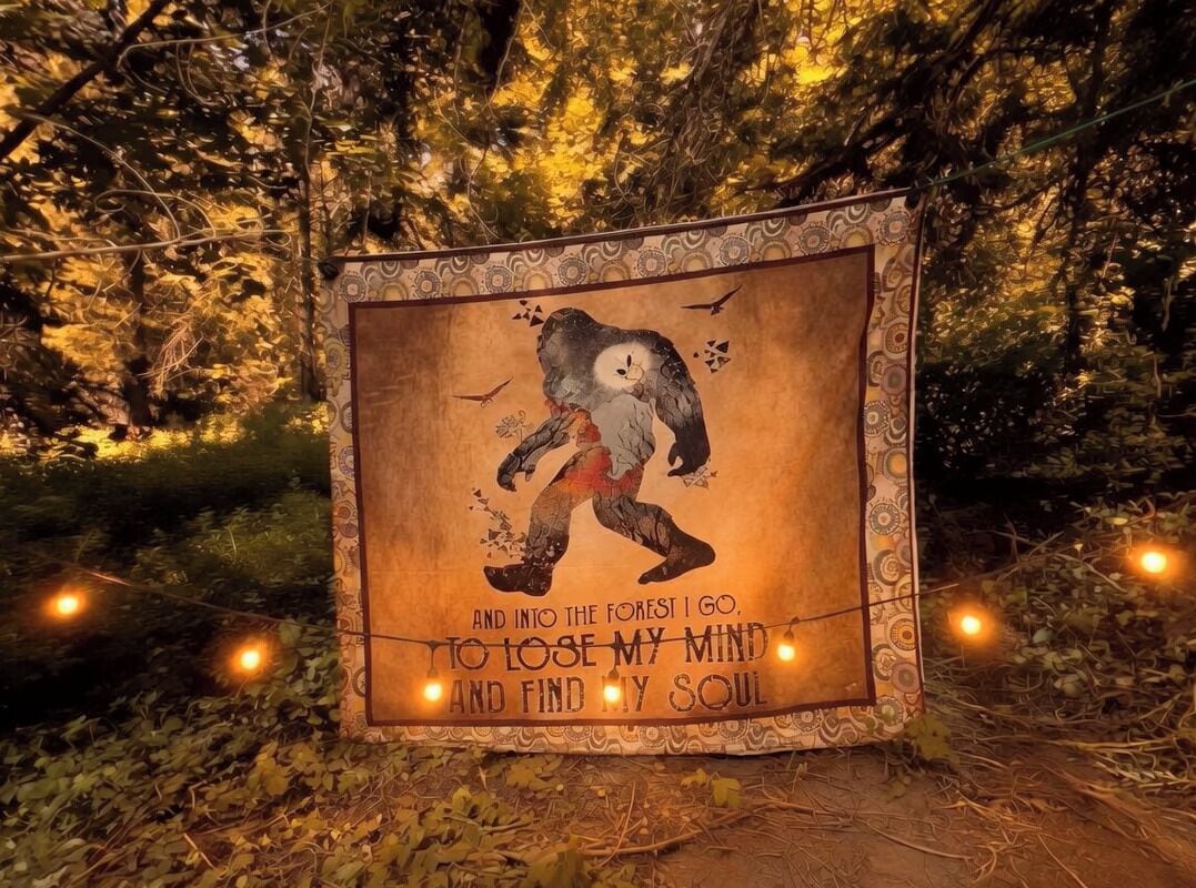 Un quadro con una scena di bosco e testo, circondato da luci a stringa.