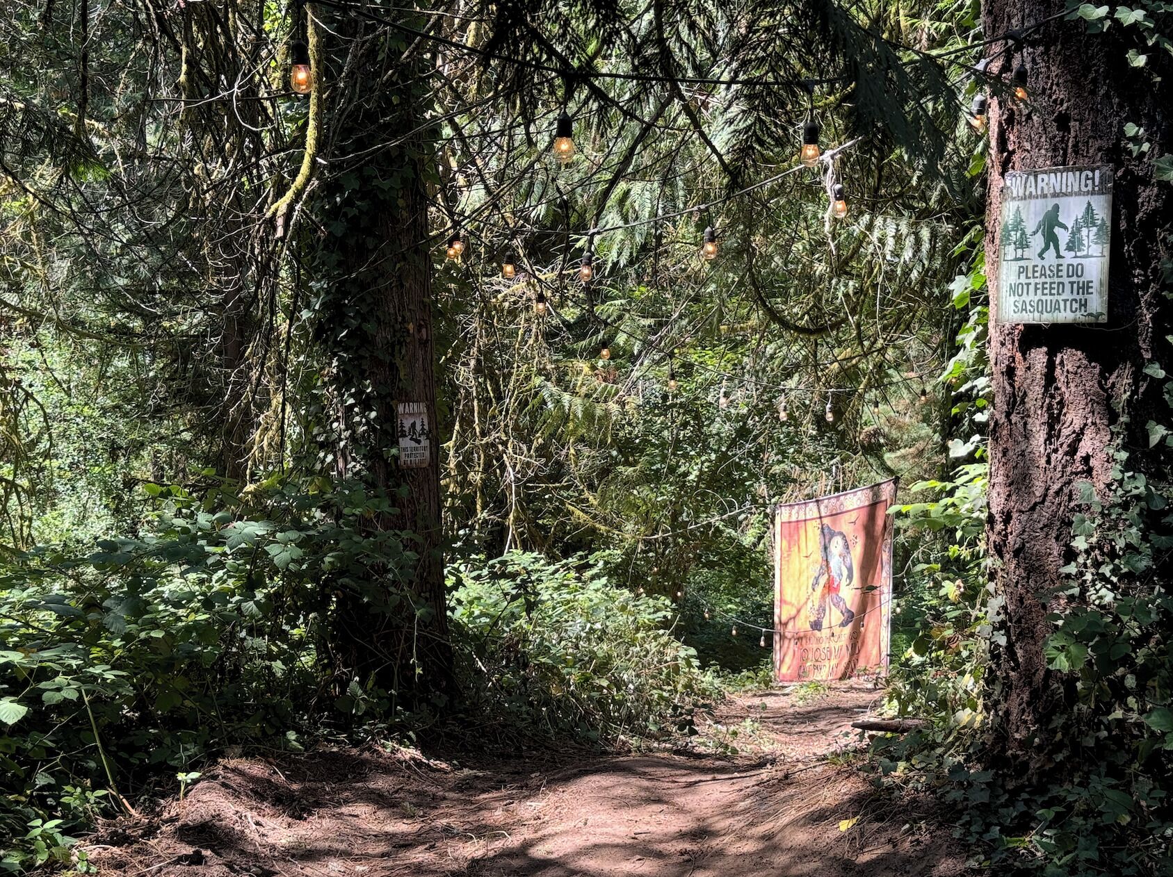 A forested area with a dirt path, warning signs, and a poster on a tree.